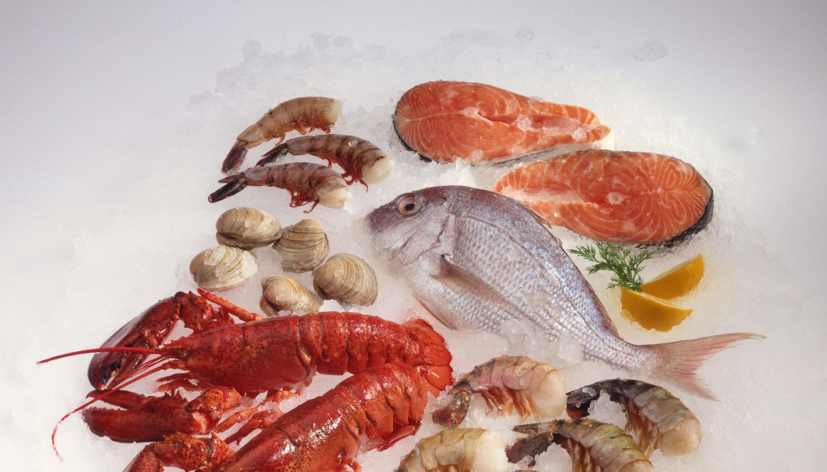 Variety of raw seafood