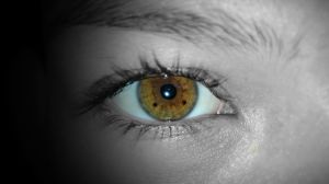 Close-Up Of Brown Human Eye