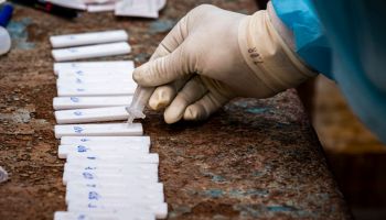 A health worker is sampling the swab test samples for RTPCR...