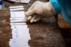 A health worker is sampling the swab test samples for RTPCR...