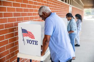 People Voting in a Government Election