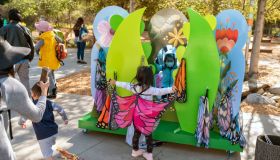 As the western monarch butterflies return to Southern California, Kidspace Museum in Pasadena kicks off it's annual butterfly season event