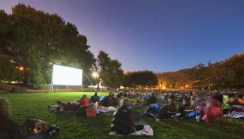 People sitting in a park in front of an illuminated projection screen