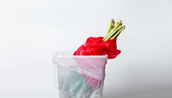 wilted flower. Wilted tulipsin red packaging. In the garbage bucket. Inverted down