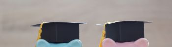 Graduation hat on piggy bank and a books on white background, Saving money for education concept