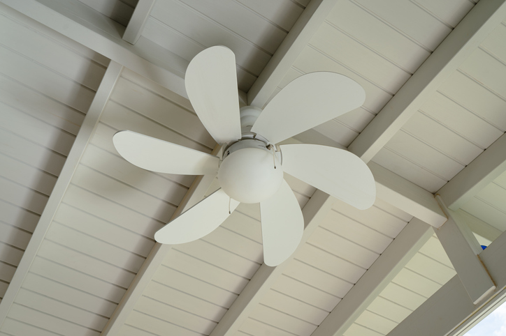 Modern white ceiling fan with lamp, bottom view