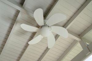 Modern white ceiling fan with lamp, bottom view