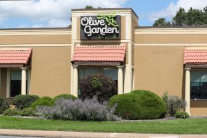 The Olive Garden logo is seen on the exterior of one of its...