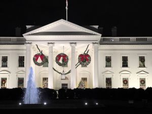 The White House decorated for Christmas. night.