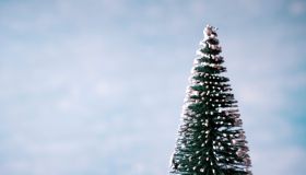 Concept mini christmas tree isolated