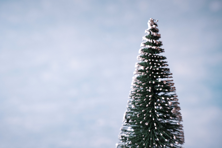 Concept mini christmas tree isolated