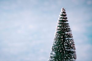 Concept mini christmas tree isolated