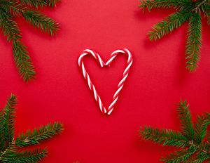 Christmas banner, love xmas symbol, holiday concept card, candy canes and fir tree branches on red background.
