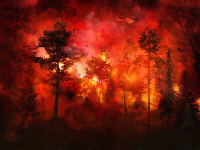 Massive forest fire, intense flames, night bushfires with lot of smoke