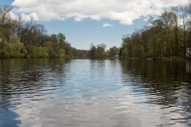 Peaceful Lake View With Calm Waters and Lush Trees During Daytime in a Tranquil Park Setting