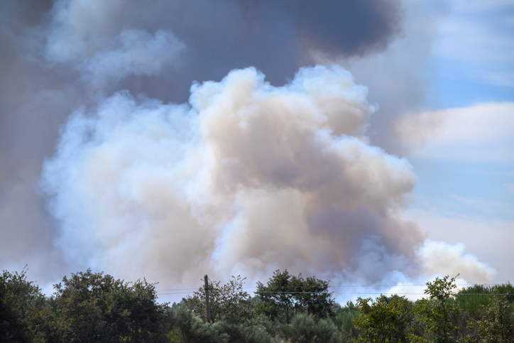A Thick Cloud of White Smoke Against a Blue Sky. Concept The environmental impact of a fire.